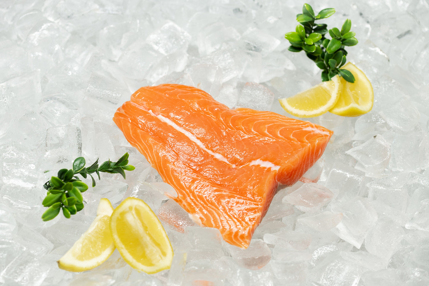 Salmon Tail (2 Pack)