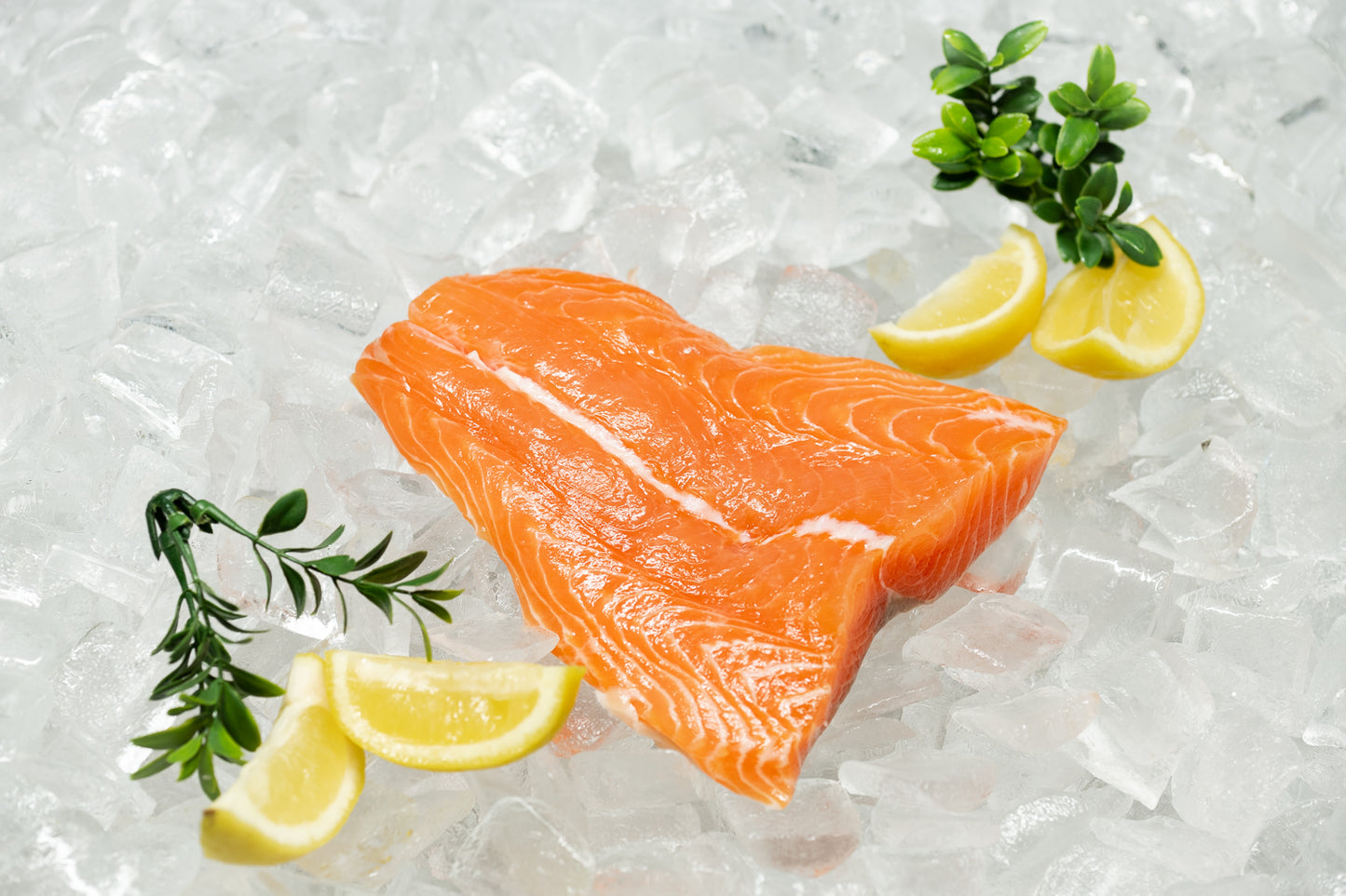 Salmon Tail (2 Pack)